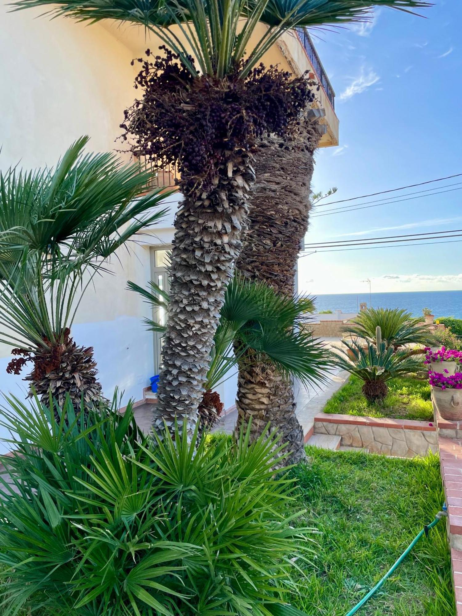 Villa Sul Mare Palazzolo Trappeto  Kültér fotó